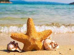 [마블_스티브 로저스 드림] 잘못된 만남