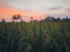 [마블_버키 반즈 드림] 꿈 속의 그대