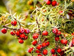 [마블_로키 드림] 그대를 사랑하는 동안 내겐 우는 날이 많았다.