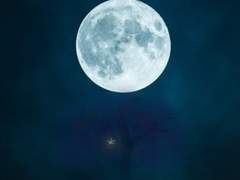 첫번째 달의 기록