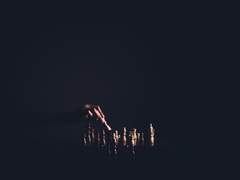 [Cecil] Une tour renversée