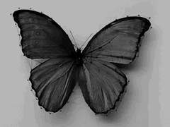 수십 개의 단어와 한 사람을 동시에 떠올리는 일