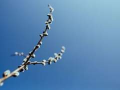 [마블_토니 스타크 드림] 상실