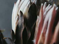 [마블_토니 스타크 드림] 후각이 그렇게나 중요한가요?