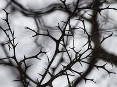 [마블_스티븐 스트레인지 드림] 끈