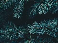 [마블_로키 드림] 한심한 생각