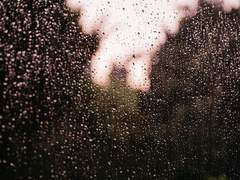 [마블_스티브 로저스 드림] 비가 내리면