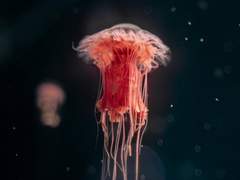 [마블_버키 반즈 드림] 그림자