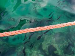 [나루토_센쥬 하시라마/우치하 마다라 드림] 예행연습