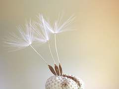 [엑스맨_찰스 자비에 드림] 작은 게임