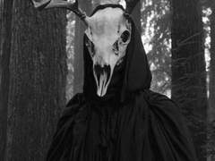 #.1 꿈 속의 이야기 - 그 첫번째