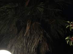 『70』 책을 볼 수 있는 곳에 대해