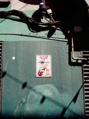 풀 내음 가득히