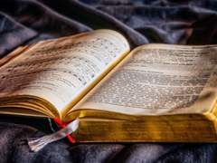 [중혁독자] True or False