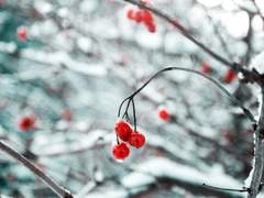 [망기무선] 눈 오는 밤