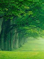 I will heal you [完]