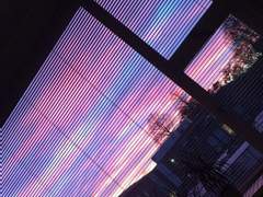 [뷔진] 폴리스, 플리스 08