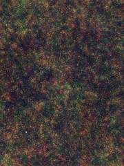 나폴리탄 및 규칙