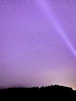 지단 / 지호단이