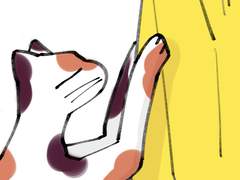 [JM] 2018-19 JIMINDAY