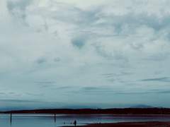 [성송] '트롤리'의 문제