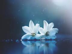 [수혁청산] 사랑했어 미안해