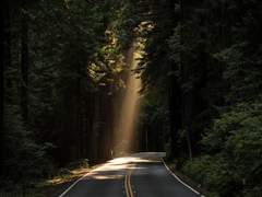 바쁘지 않다면, 잠시 함께할래?