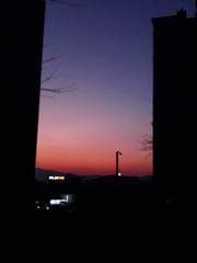 문호 스트레이 독스