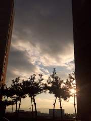 아카 13구 감찰과