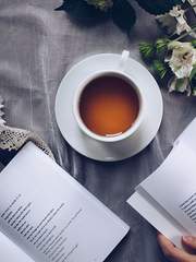 책벌레의 하극상 2차창작