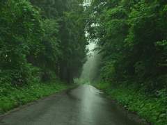 여름:권태記 (中)