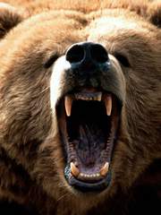 일상 연구 기록