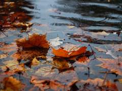 내겐 우리가 전부였다 03