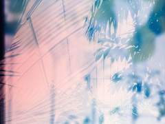 결코 다정한 길이 아님을.