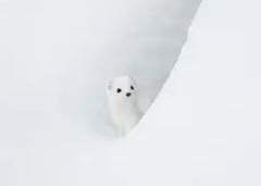 [단편] 겨울 일기 추천 W. 메리