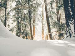 내겐 우리가 전부였다 04 (完)