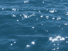 그날의 해질녘을 우린 잊지못한다