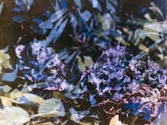 한글 캘리그라피 세션카드 커미션