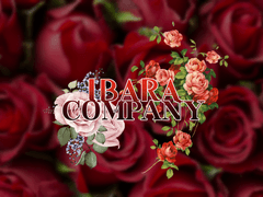 IBARA COMPANY