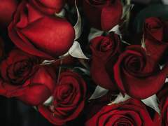 그 용기에 찬사를.