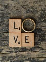 내스급 2차창작