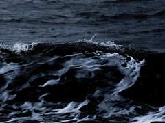 절대적 종말에 관한 불편한 진실