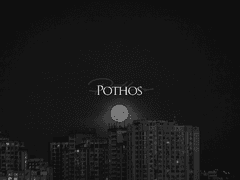 [현제유현] Pothos