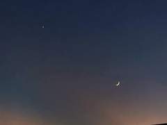 [명재매화] Moonstruck