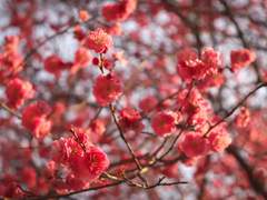 태양의 길 앞에서.