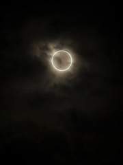 모브 사이코 100