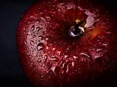 독사과를 베어무는 척,