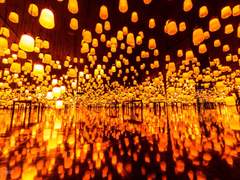 그 아래로 내려오더니.