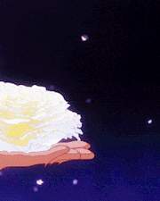 감초처럼 달콤한