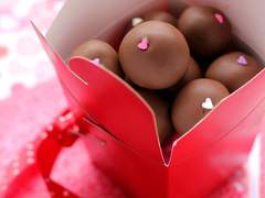 [원피스/상황문답]밸런타인 데이-사카즈키(아카이누)